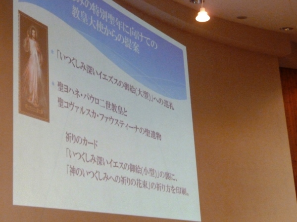 「いつくしみの特別聖年」に関する教皇大使の提案について