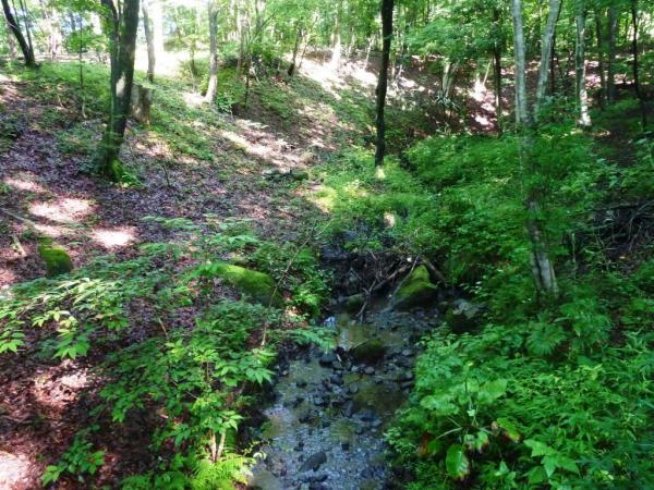 那須高原マリアの家　♪　9つの橋がある庭♪